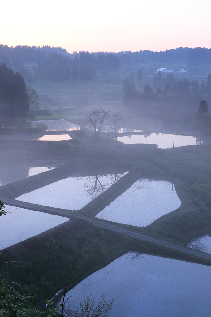 【小千谷　大崩】山里の朝霞