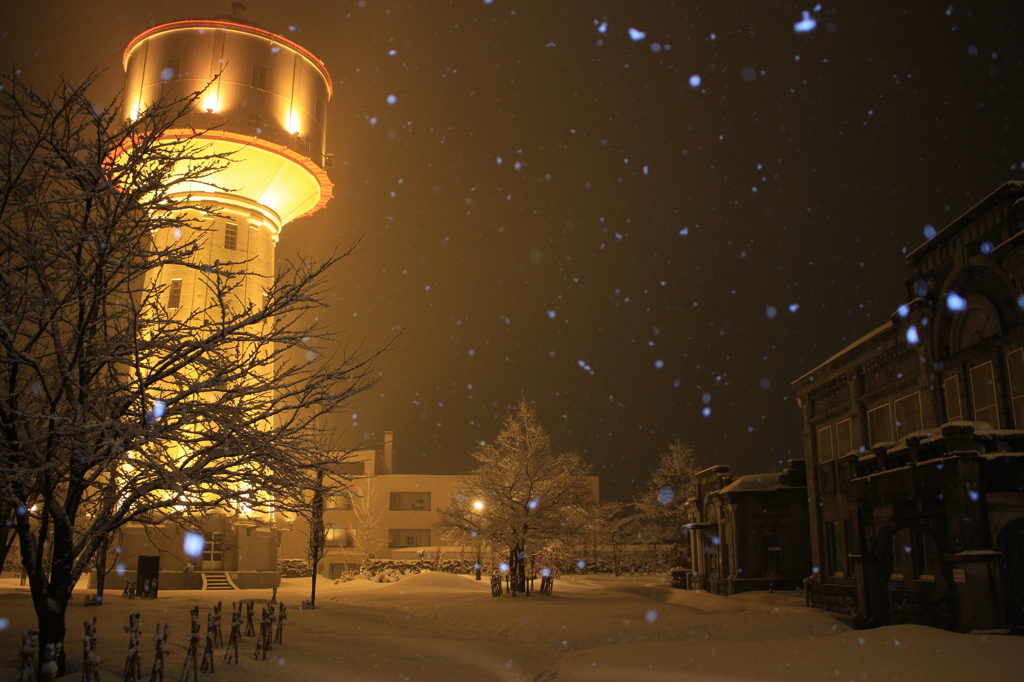 雪ホタル、舞い降りる（長岡）