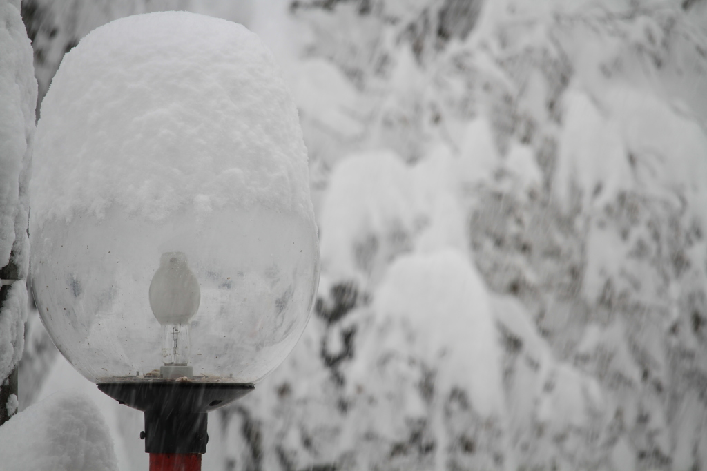雪のキャップは…（蓬平）