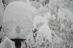 雪のキャップは…（蓬平）