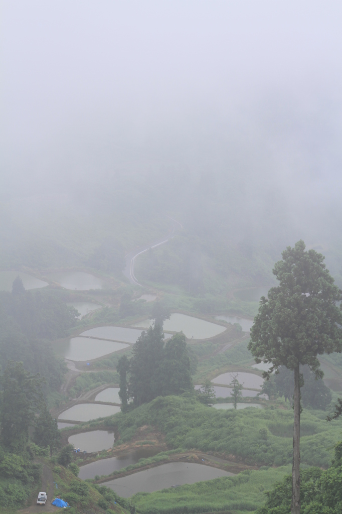 雨が降ろうが槍が降ろうが（山古志）