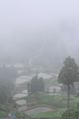 雨が降ろうが槍が降ろうが（山古志）