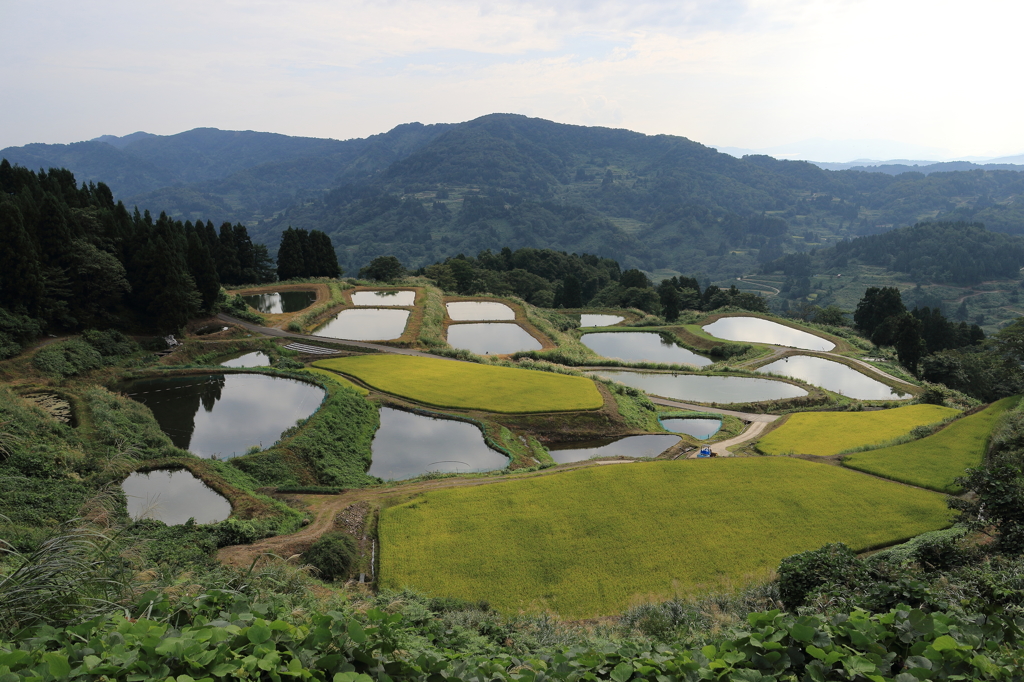 【長岡　山古志】山古志デーな一日