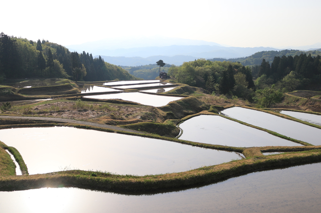 春の里山（長岡 比礼）