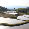 春の里山（長岡 比礼）