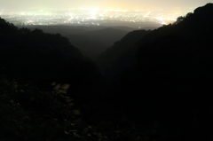 【長岡　八方台】闇夜のススキ達