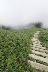 【登山日誌:平標山 170814】心を洗おう