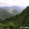 【登山日誌 米山170528】寒いわ霧だわ…