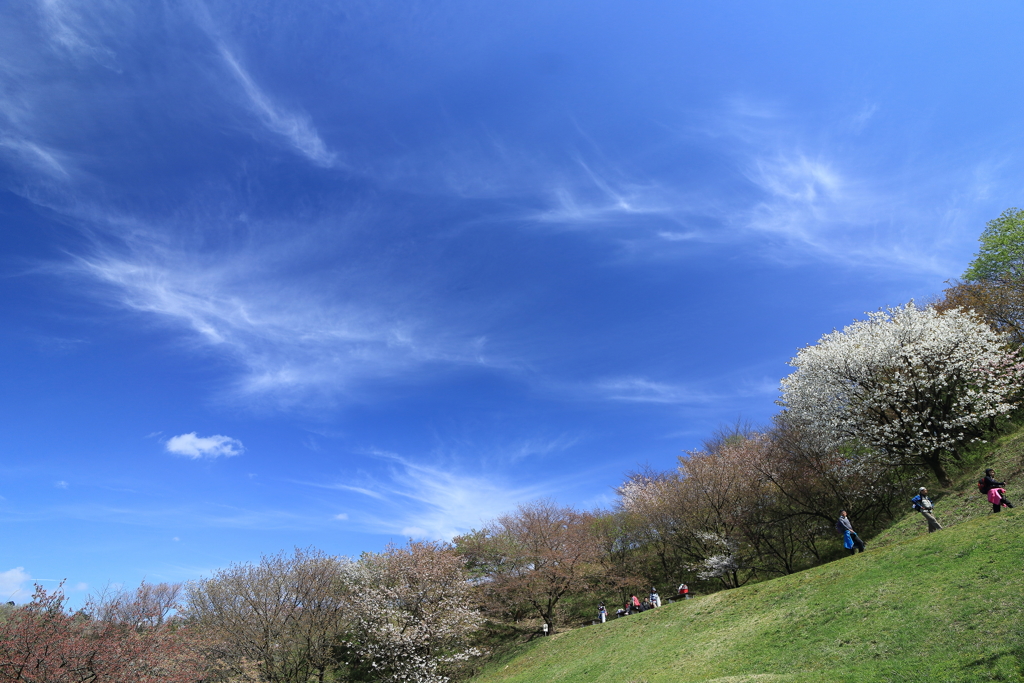 【登山日誌：大峰山 170422】スカイ・ハイの季節