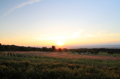 夕日に満ちる