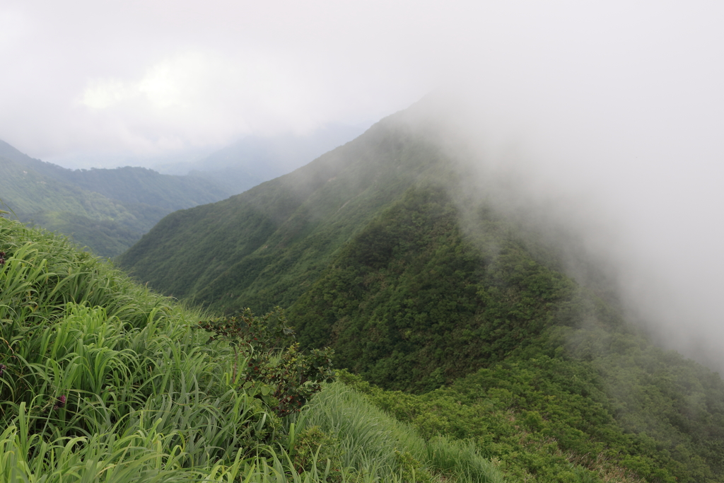 【登山日誌:守門岳170722】境目の美