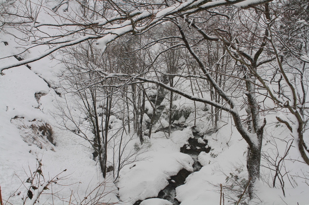 雪降り注ぐ頃（長岡　蓬平）