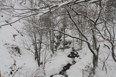 雪降り注ぐ頃（長岡　蓬平）