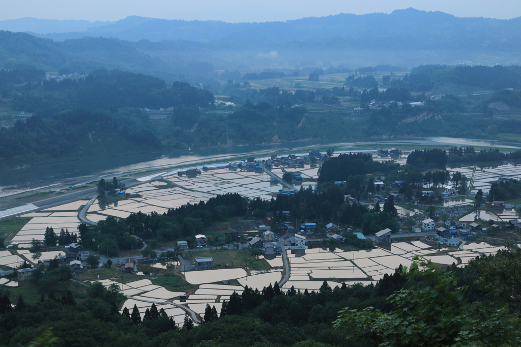 【小千谷　山本山】早起きは…