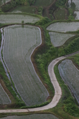 「Ｓ字」の美学（小千谷　岩沢）