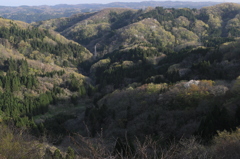 桜を添えて（出雲崎）