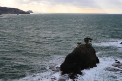 春近し(^o^)／（米山）