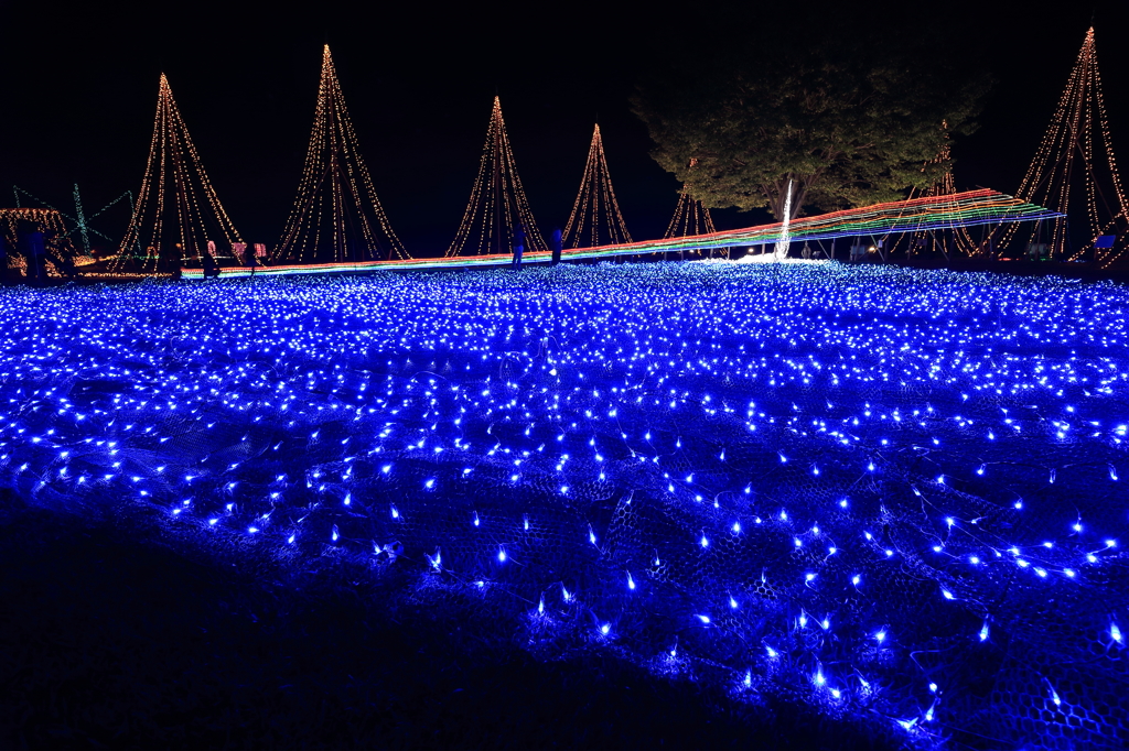 ブルーガーデン（長岡　越後丘陵公園）