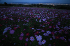 素の表情（長岡）