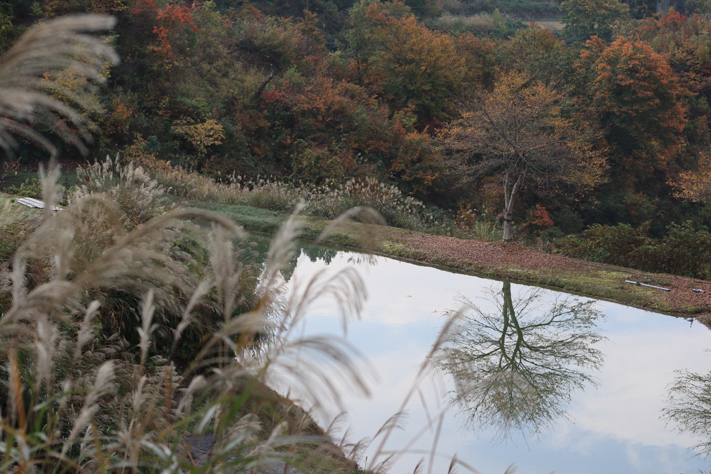 【長岡　山古志】秋空に浮かぶ
