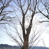 互いに手を携えて（長岡）