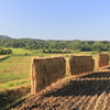 田園を守るモアイ（長岡）