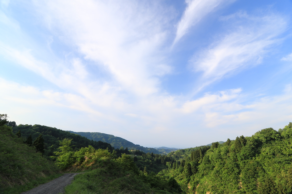 峠を登れば…（長岡　南蛮山）