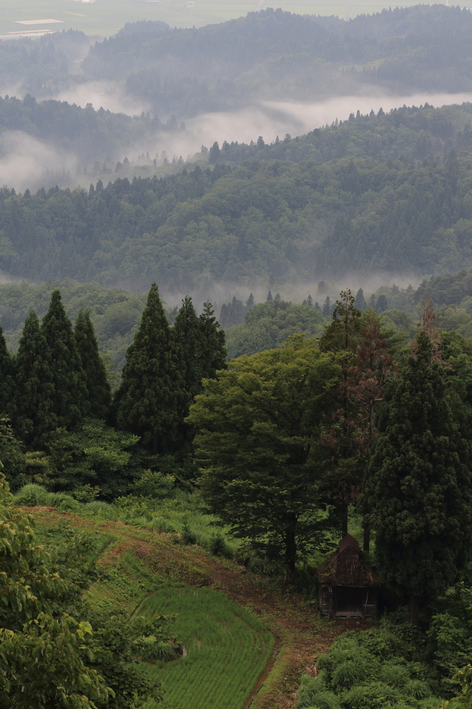 ※霧と山里（長岡　八方台）