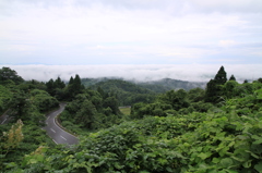 梅雨も「山笑ふ」（八方台）