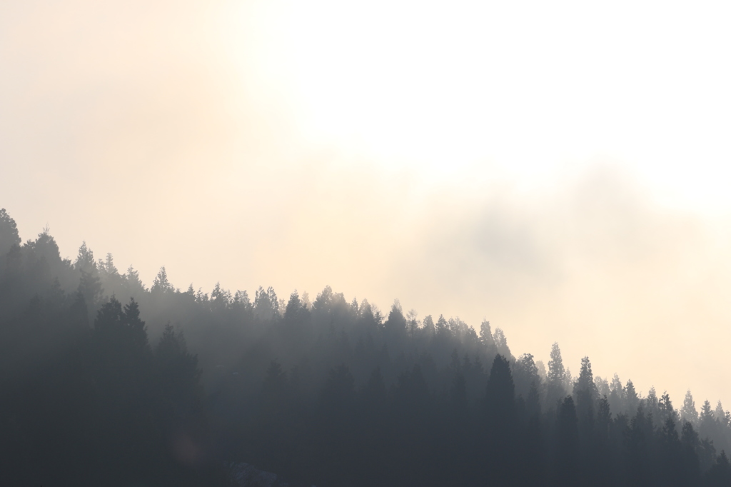 啓蟄の朝日に…（川口）