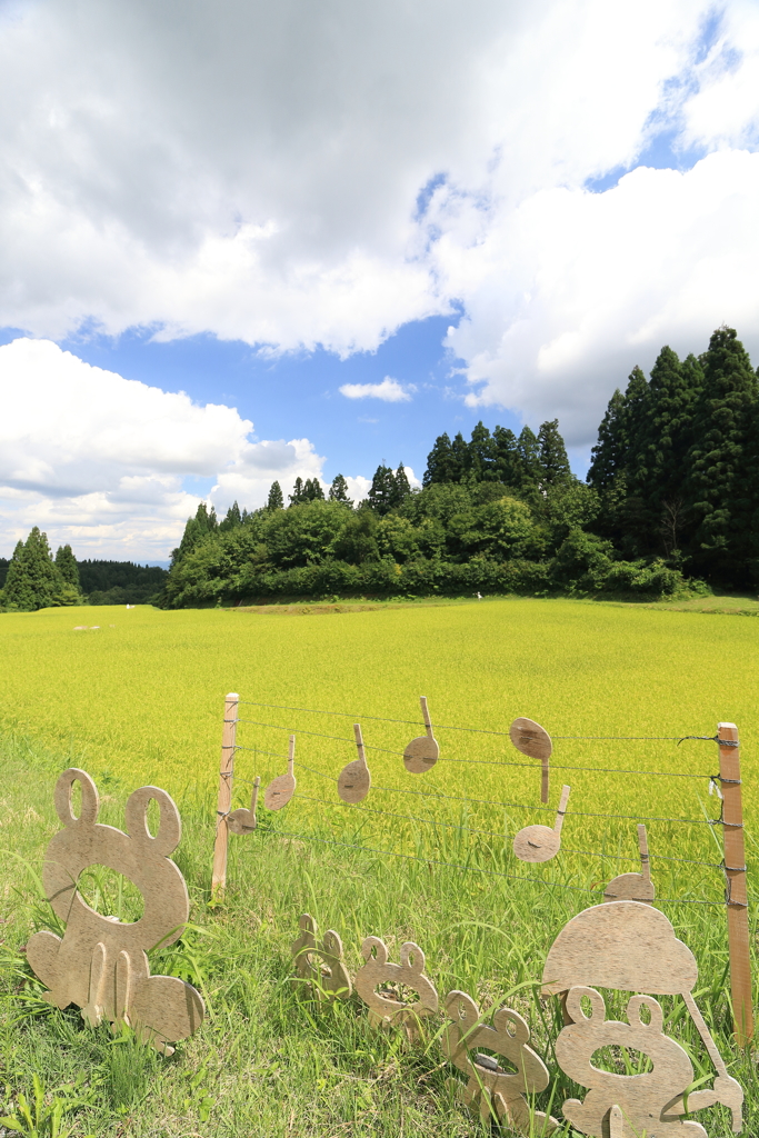 【長岡　比礼】雨々フレフレ