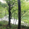 【登山日誌：番屋山170819】雨生ヶ池(まごいがいけ)と…