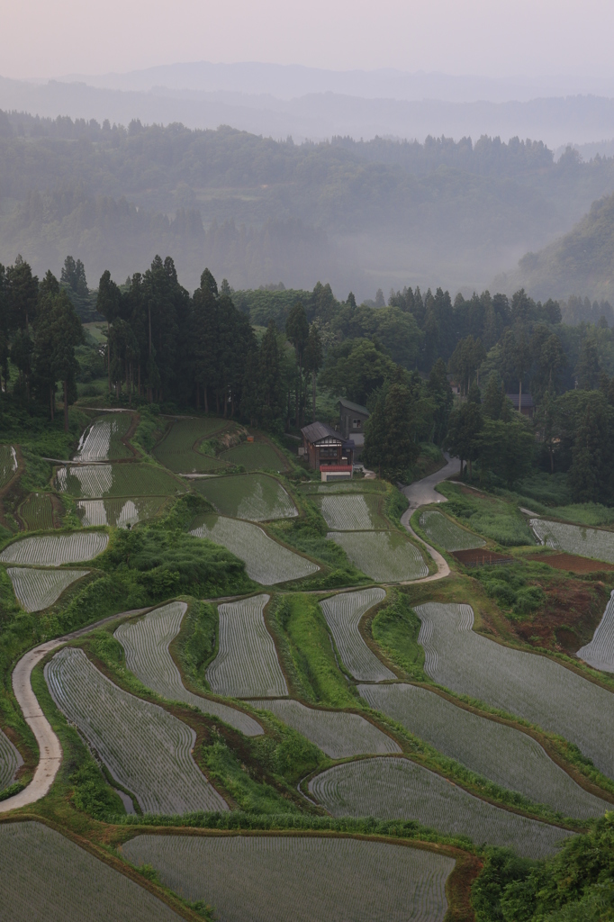 ※受け継がれる棚田風景（小千谷　岩沢）