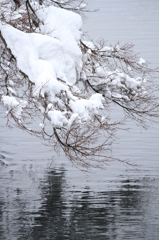 雪国ならでは（悠久山公園）