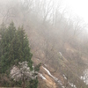 霧、立ち込める（長岡 八方台）