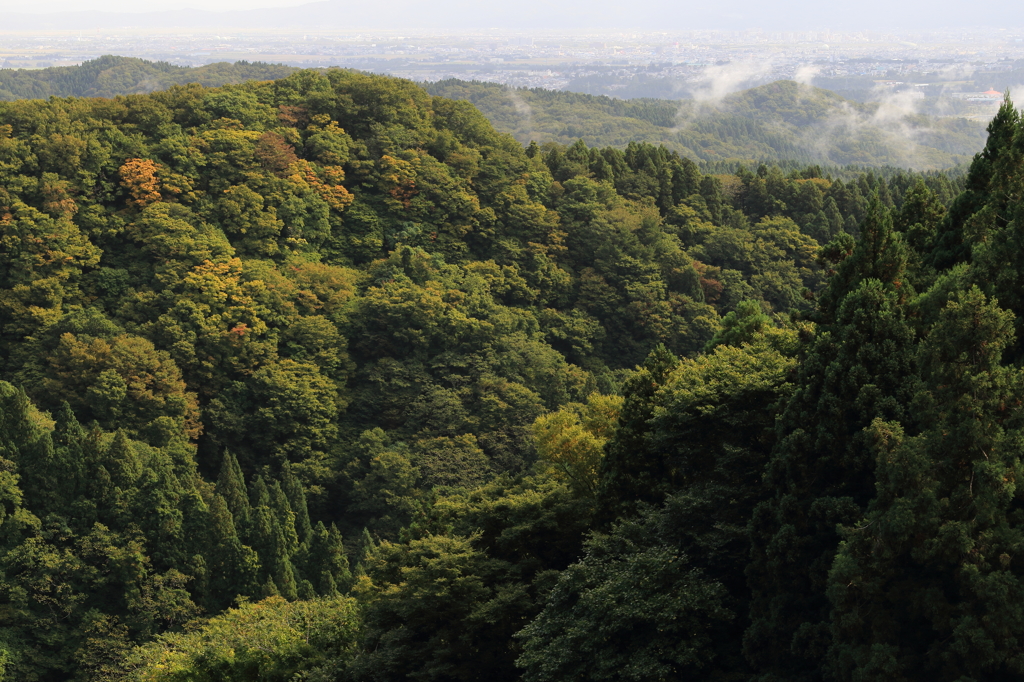 【長岡　物見山】西の丘から