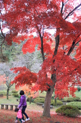 春と秋のコラボ（村松）