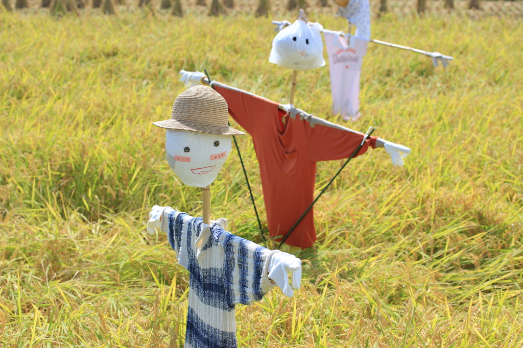 今年も豊作(^o^)／