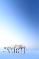 三色空を見上げて思ふ（小千谷 池ヶ原）