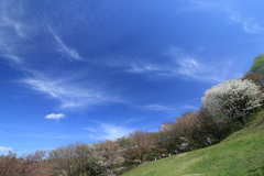 【大峰山】はるぞら