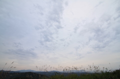 秋空に踊る（古志高原）