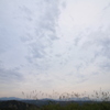 秋空に踊る（古志高原）