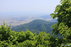 【登山日誌 弥彦山170520】新緑極まる