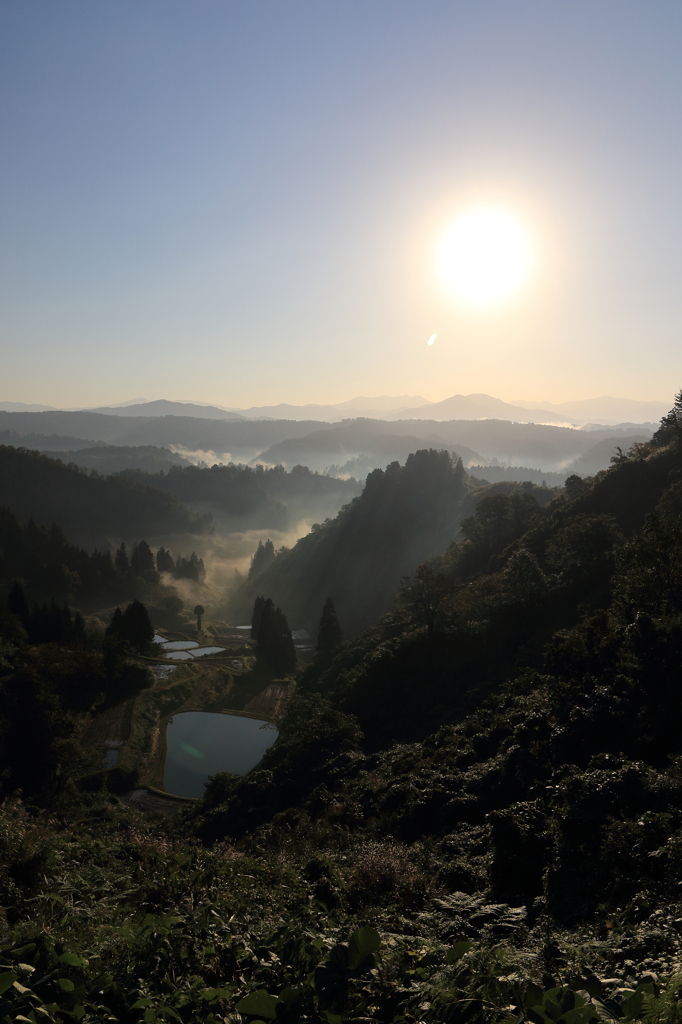 【長岡　古志高原】いつもありがとう(^o^)／