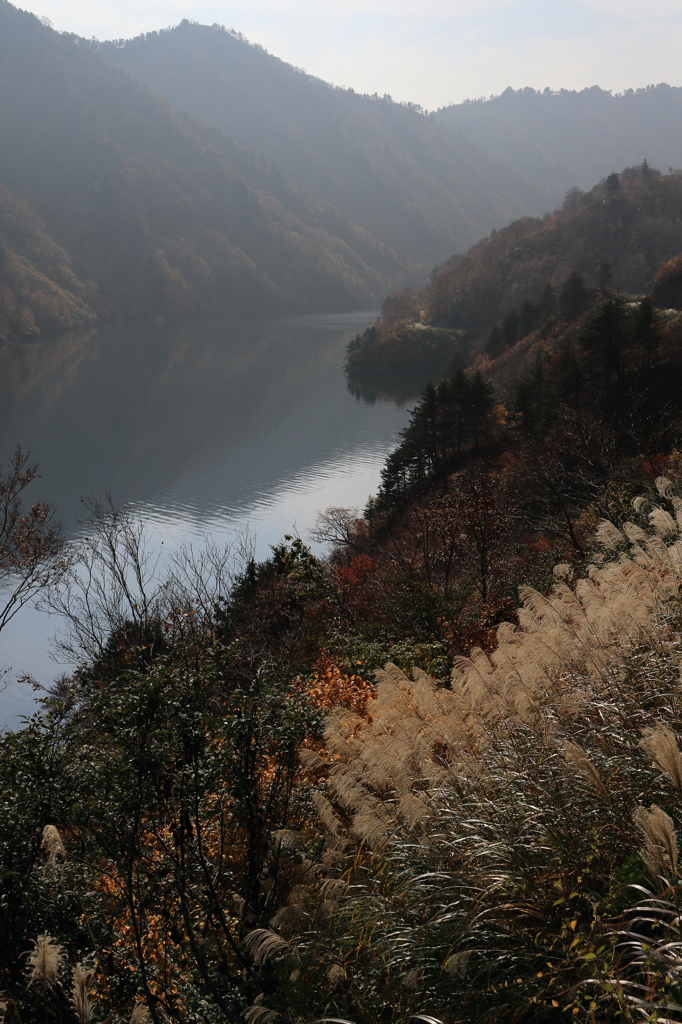 【魚沼　奥只見】紅葉だけが主役じゃない！