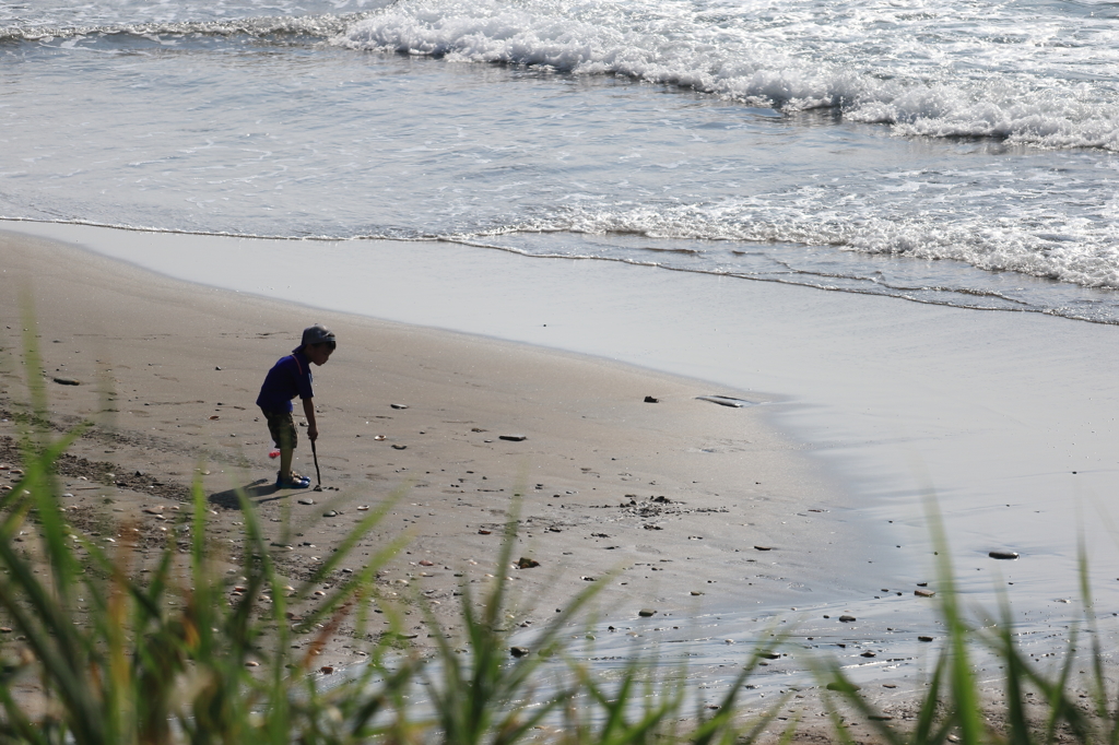 ボクだって…（柏崎市　高浜海水浴場）