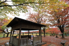 近所の絶景（長岡）