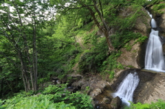 初夏の滝（長岡　蓬平）