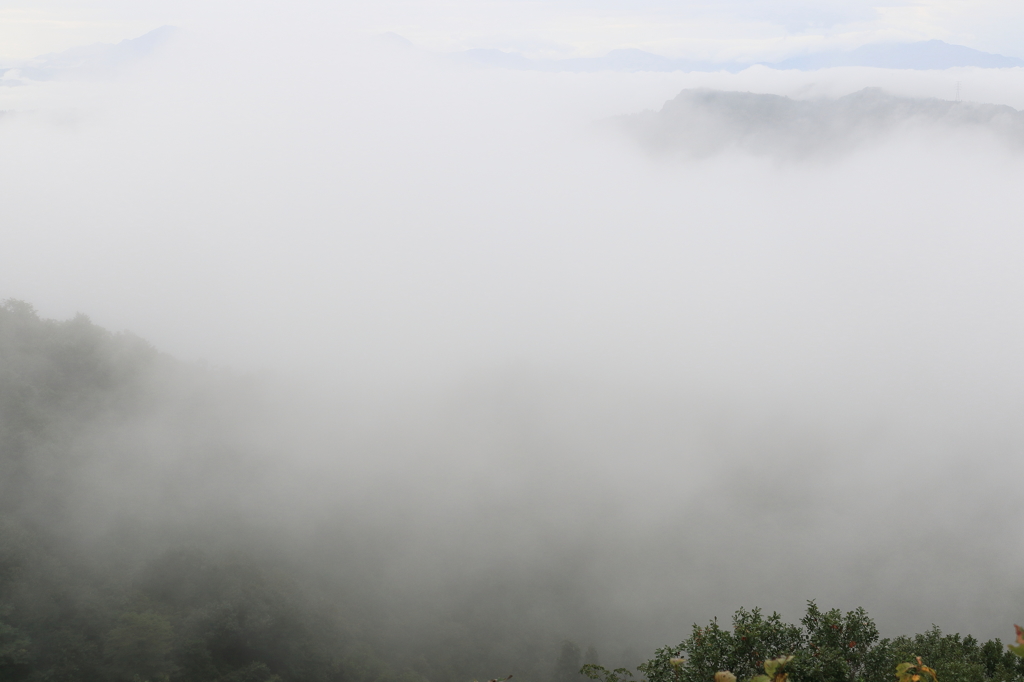 【小千谷　山本山山頂】霧まみれの山頂
