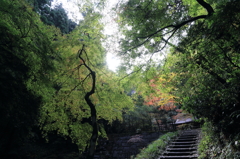 【加茂　加茂山公園】階段のある光景